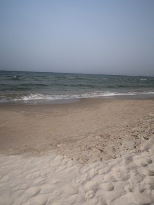 IMG_5919_Sommer